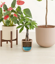 Load image into Gallery viewer, Peach Blossom stand:one_stand
