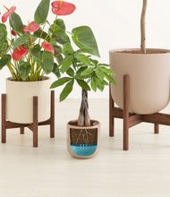 Load image into Gallery viewer, Peach Blossom stand:two_stands
