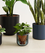 Load image into Gallery viewer, Stone stand:all
