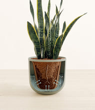 Load image into Gallery viewer, Sage Green stand:all
