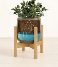 Load image into Gallery viewer, Olive stand:bamboo

