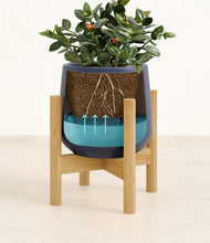 Load image into Gallery viewer, Deep Navy stand:bamboo
