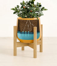 Load image into Gallery viewer, Mustard stand:bamboo
