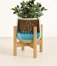 Load image into Gallery viewer, Turquoise stand:bamboo
