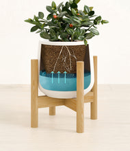 Load image into Gallery viewer, White stand:bamboo
