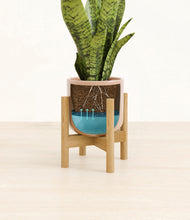 Load image into Gallery viewer, Glossy Pink stand:bamboo
