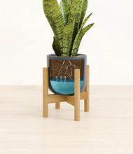 Load image into Gallery viewer, Iron Gray stand:bamboo
