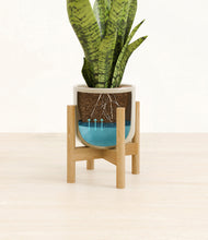 Load image into Gallery viewer, Sage Green stand:bamboo
