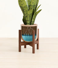 Load image into Gallery viewer, Glossy Pink stand:walnut
