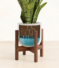 Load image into Gallery viewer, Hammered Ivory stand:walnut
