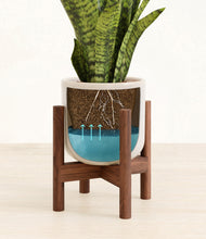Load image into Gallery viewer, Snowdrift White stand:walnut
