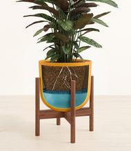 Load image into Gallery viewer, Sunset Orange stand:walnut
