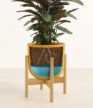 Load image into Gallery viewer, Sunset Orange stand:bamboo
