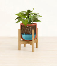 Load image into Gallery viewer, Glossy Red stand:bamboo
