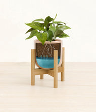 Load image into Gallery viewer, Glossy Pink stand:bamboo
