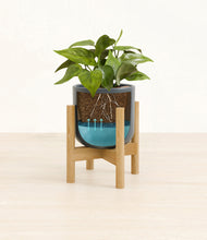 Load image into Gallery viewer, Iron Gray stand:bamboo
