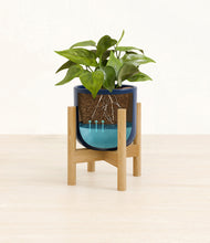 Load image into Gallery viewer, Twilight Blue stand:bamboo
