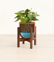 Load image into Gallery viewer, Glossy Red stand:walnut

