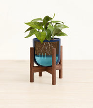 Load image into Gallery viewer, Twilight Blue stand:walnut
