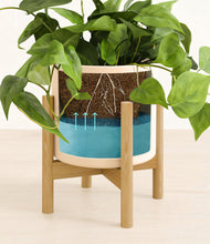 Load image into Gallery viewer, Cream stand:bamboo
