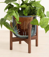 Load image into Gallery viewer, Iron Gray stand:walnut
