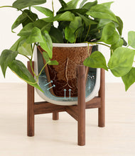 Load image into Gallery viewer, Natural Bamboo stand:walnut
