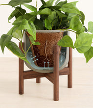 Load image into Gallery viewer, Sage Green stand:walnut
