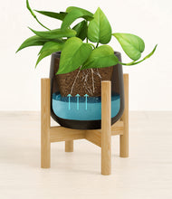Load image into Gallery viewer, Black stand:bamboo

