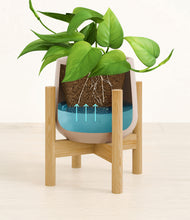 Load image into Gallery viewer, Eternal Gray stand:bamboo
