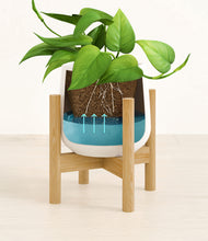 Load image into Gallery viewer, White stand:bamboo
