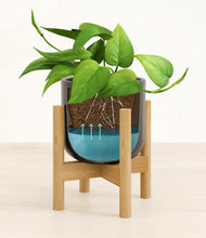Load image into Gallery viewer, Stone Black stand:bamboo
