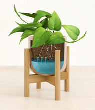Load image into Gallery viewer, Glossy Pink stand:bamboo
