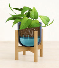 Load image into Gallery viewer, Twilight Blue stand:bamboo
