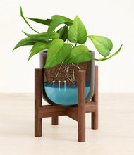 Load image into Gallery viewer, Stone Black stand:walnut
