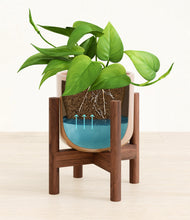 Load image into Gallery viewer, Glossy Pink stand:walnut
