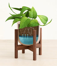 Load image into Gallery viewer, Sandy Pink stand:walnut
