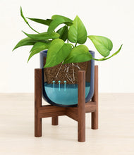 Load image into Gallery viewer, Twilight Blue stand:walnut
