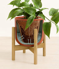 Load image into Gallery viewer, Earth Red stand:bamboo

