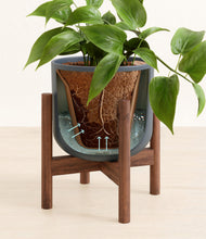 Load image into Gallery viewer, Iron Gray stand:walnut
