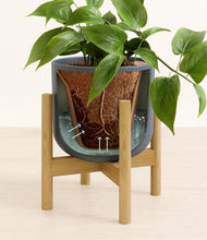 Load image into Gallery viewer, Iron Gray stand:bamboo
