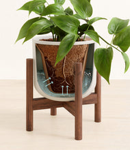 Load image into Gallery viewer, Natural Bamboo stand:walnut
