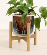 Load image into Gallery viewer, Natural Bamboo stand:bamboo
