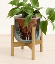 Load image into Gallery viewer, Sage Green stand:bamboo
