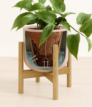 Load image into Gallery viewer, Sandy Pink stand:bamboo
