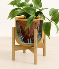 Load image into Gallery viewer, Sunset Orange stand:bamboo
