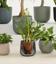 Load image into Gallery viewer, Deep Forest stand:all
