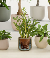 Load image into Gallery viewer, Woodland stand:all
