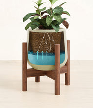 Load image into Gallery viewer, Turquoise stand:walnut

