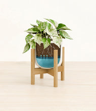 Load image into Gallery viewer, Cotton White stand:bamboo
