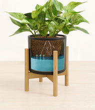 Load image into Gallery viewer, Black stand:bamboo
